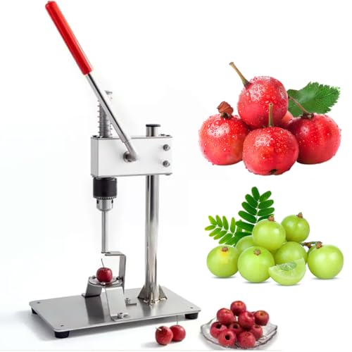 Herramienta de acero inoxidable, removedor de corazones de espino, removedor de huesos de frutas portátil para un uso fácil