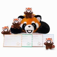 Red Panda-family