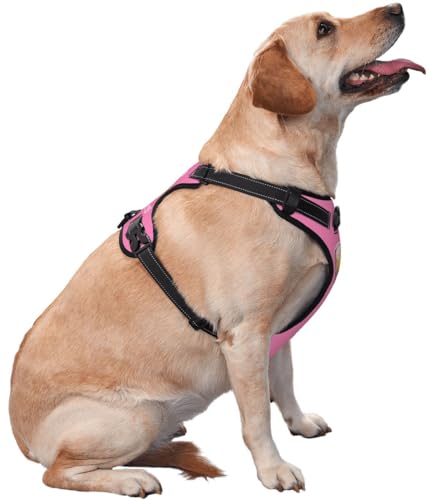 WINKEEY Hundegeschirr Personalisiert Sicherheitsgeschirr Welpengeschirr Brustgeschirr Mit Namen Telefonnummer Anti Zug, atmungsaktiv, reflektierend Für Kleine Mittelgroße und Große Hunde