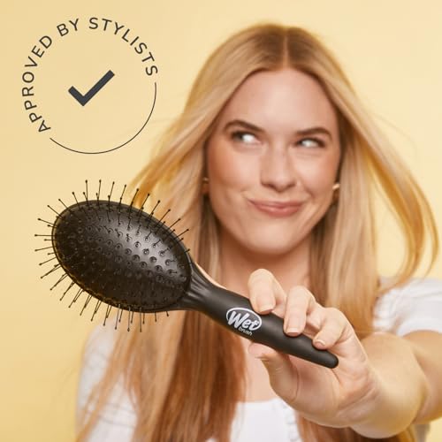 Wet Brush Brosse à soufflage facile pour un séchage rapide sans effort