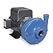 GOULDS Water Technology 9BF1L9A0 Pump,10 HP,3 Ph,240/460VAC