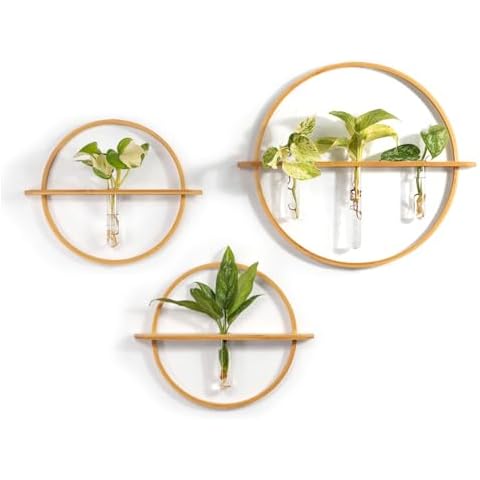 Bohemian Roots Bamboo Propagation Stations Cover