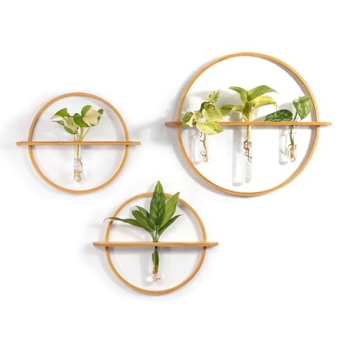 Bohemian Roots Plant Propagation Stations - Set of 3 Bamboo Wall Planters for Indoor Plants with 5 Glass Plant Propagation Tubes | Propagation Vases for Plants | Aesthetic Plant Wall Decor
