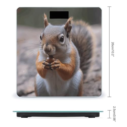 Báscula digital para baño con vidrio templado y pantalla LCD miniatura 2