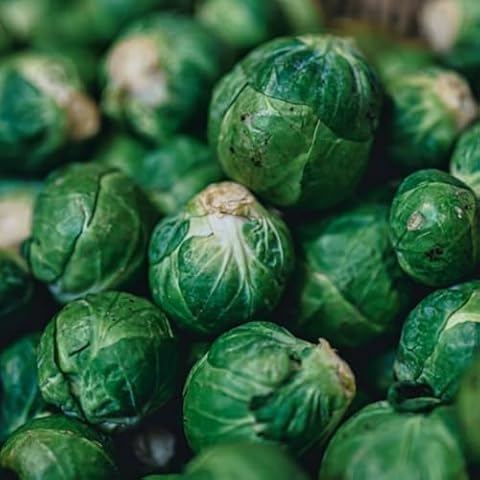 Evesham Special Brussel Sprout Seeds - Hardy Winter Vegetable Cover