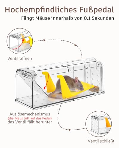 KENNEAS Mausefalle Lebend 4er Pack, Lebendfalle Maus, Wiederverwendbar, Tierfreundliche, Hochsensitive Quick Release, Kontakt mit Mäusen vermeiden - Gartenzubehör(4, Transparent)