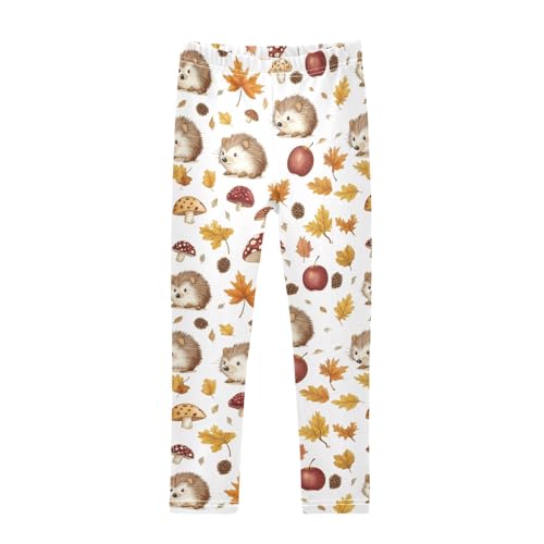 ZZKKO Girls Leggings Hedgehogs Toddler Girls Clothes Leggings for Girls Toddler Girls Leggings 3-4T