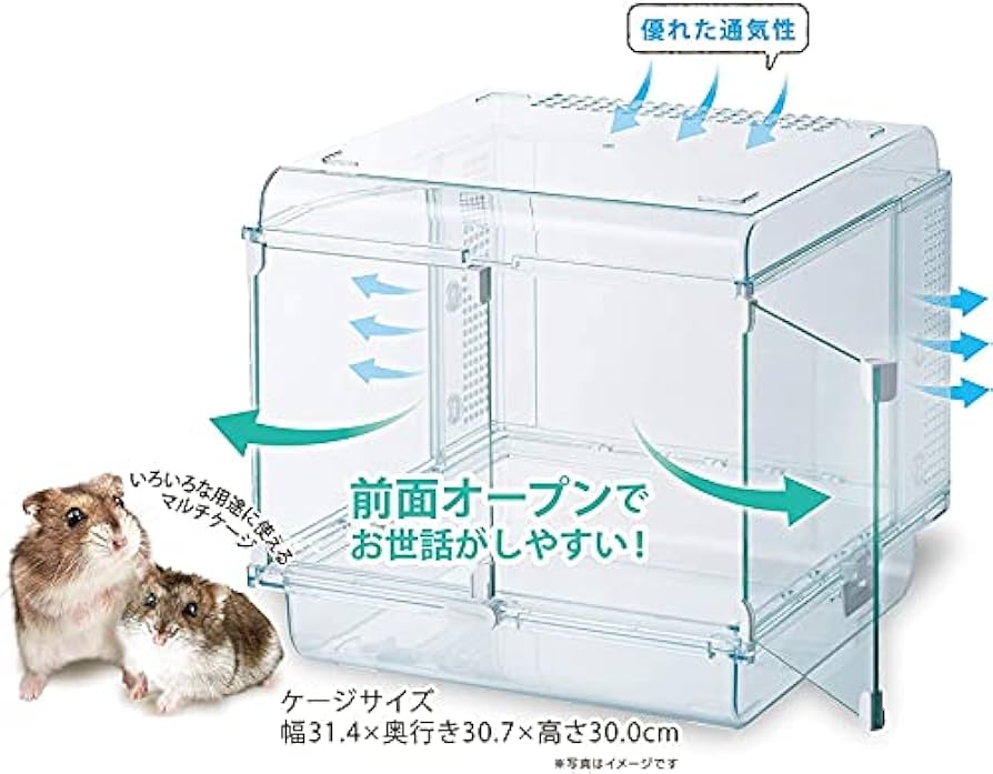 グラスハーモニーマルチ300キューブ Amazon | [GEX]付属品が付いていないマルチケージ！ひろびろ