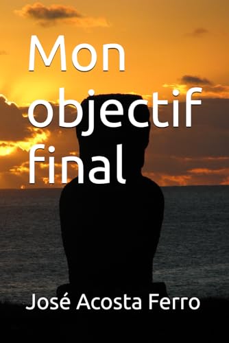  Mon objectif final