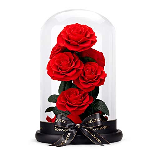 vU[uht[ Mtg ͂Ȃ lC hCt[ P[X ̓ {t KN KXh[ o bsOς Mtg{bNX 񂰑 LEDCgt   j FB av[g t[Mtg LO LO