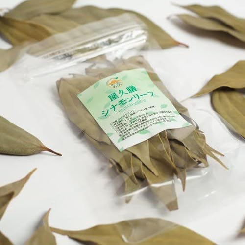 vVi[t 10g×3   n Hi H O  Mtg Vi XpCX Vi[t zbgeB[ ACXeB[ |v