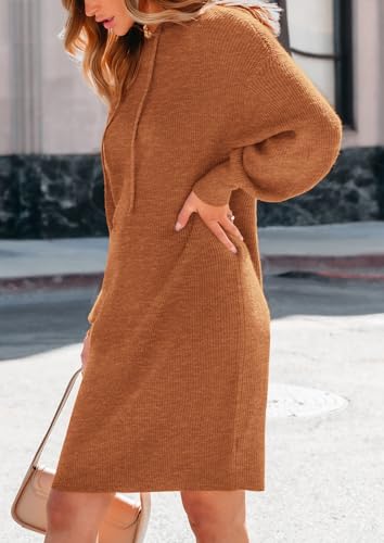PRETTYGARDEN Womens Fall Sweater Dress Casual Long Sleeve Chunky Knit Pullover Oversized Hoodie Tunic Sweaters Winter Clothes