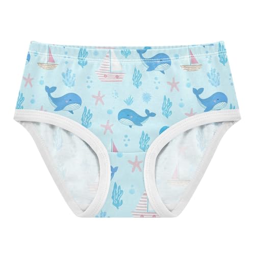 Cute Whale Ocean Blue Toddler Girls's Underwear 2T 2301879