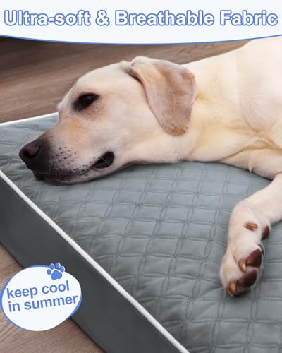 Coussin pour chien en mousse orthopédique et housse robuste grise - 5