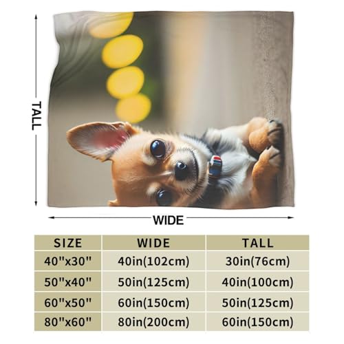 Chihuahua-Hunde-Motiv, ultraweiche Flanelldecke, Anti-Pilling, Mikro-Decken, Sofa, leicht, für alle Jahreszeiten