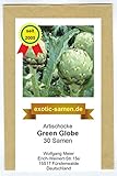 Artischocke - Green Globe - Große Köpfe - Zier- u. Arzneipflanze - 30 Samen