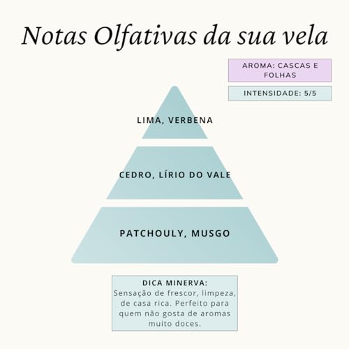 Vela Aromatica Perfumada Aroma de CASCAS & FOLHAS 145g - MINERVA CANDLES