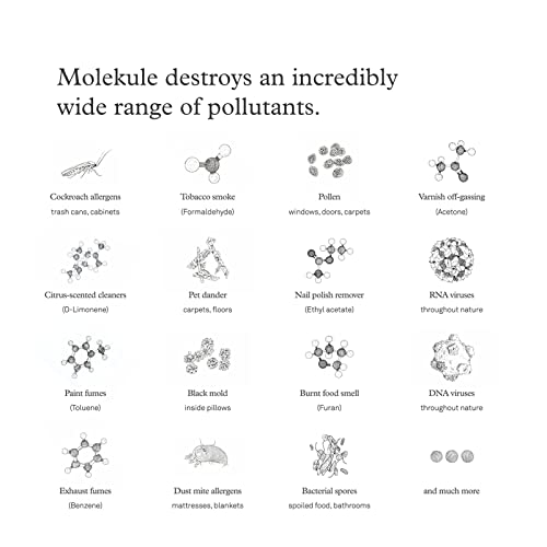 Molekule Peco-Hepa Tri-Power Filter Air Pro | Air Purifier Replacement Filters With Peco And Hepa Technology, Eliminates Smoke, Mold, Dust, Bacteria & Other Pollutants For Clean Air - Gray #TOP5