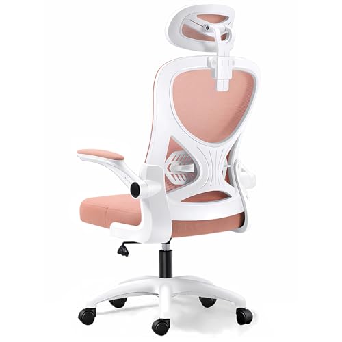 Cadeira de Escritório, Design Ergonômico com Suporte Lombar Indep...