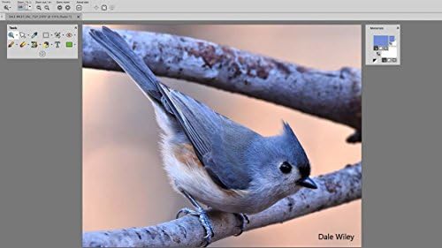Corel Paintshop Pro 18 Download Amazon De Software