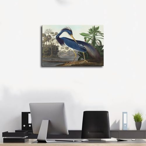 Cadre à suspendre Héron de Louisiane Audubon - Tableau sans reflets