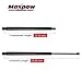 Maxpow 2X Rear Hatch Auto Gas Spring Prop Lift Support Compatible With Sienna 2004 2005 2006 2007 2008 2009 2010 4590 SG229013 With Power Liftgate