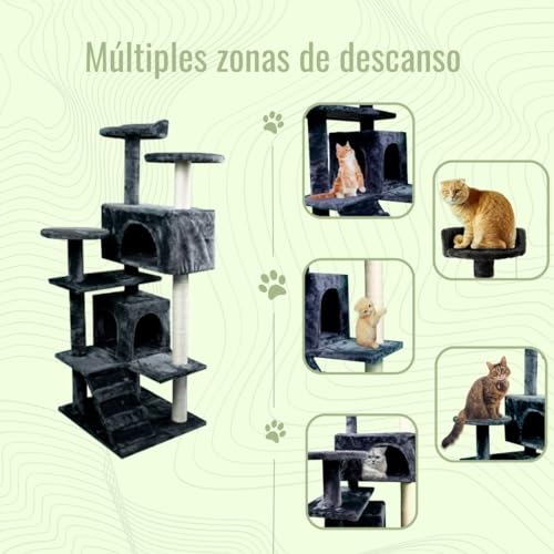 Mobiclinic, Rascador árbol para Gato, Modelo Tico, Grande, Escalar, 5 Alturas, Soporta hasta 10 kg, con Plataformas y refugios, Juguete desestresante, Cuerda de sisal, Gris - imagen 5