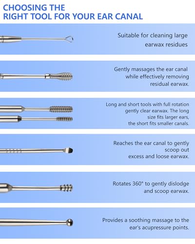 lulir Ohrenreiniger 6-in-1,Ear Cleaning Kit,Ohrenschmalz Entfernungs Set,Ohrenschmalz Entferner Edelstahl,Ohrreinigungswerkzeuge mit Einem Cleaner Pinsel&Aufbewahrungskiste,für Erwachsenen und Kindern