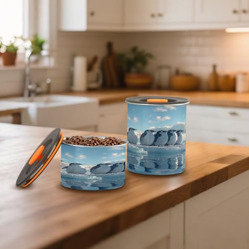 Lata Hermética de Acero Inoxidable para Café 900ml miniatura 6
