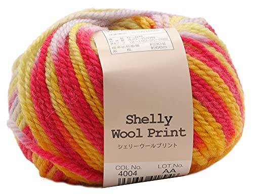 元廣 スキー 手編み毛糸 シェリーウールプリント 並太 Col.4004