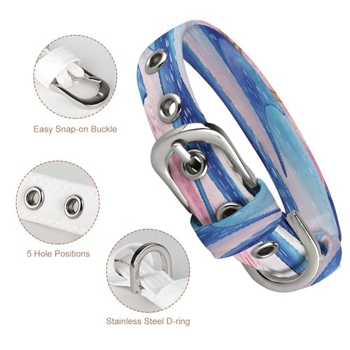 Collar para mascotas de rayas marinas ideal para paseos veraniegos 4