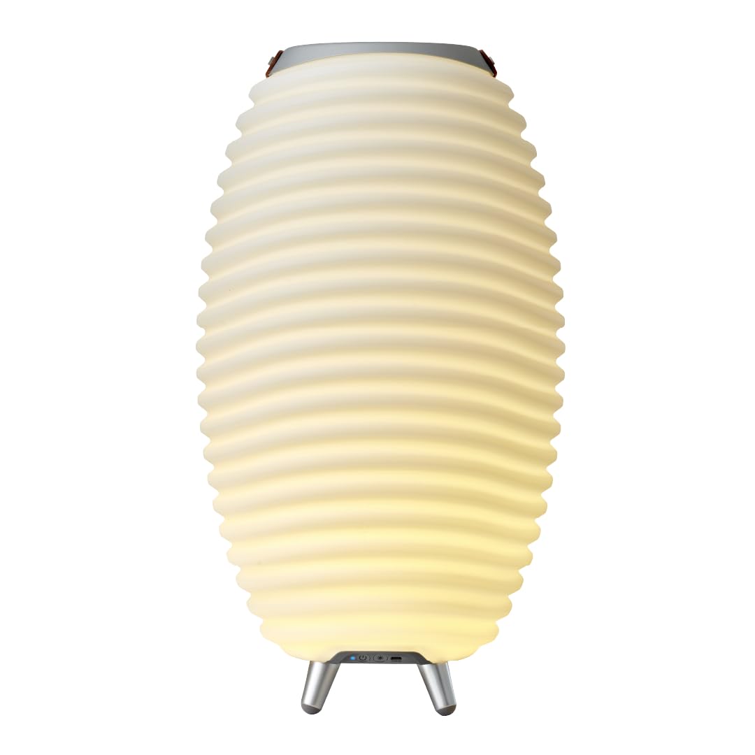 Kooduu Synergy 50 - Bluetooth Lautsprecher mit Lampe - Weinkühler-Funktion | 2L Kühlfach - Dimmer mit 4 Stufen - Bis zu 10 Stunden Akkubetrieb - 10W Vollbereich-Sound - TWS-Kopplung - USB-C - 2700K