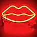 DANIDEER Led Neon Sign Art Decorative Lights Table Decoration Wall Decor Neon Lamp with Glow Light for Kids Room Living Room Bedroom Unique Gift for Any Occasion (Lips)