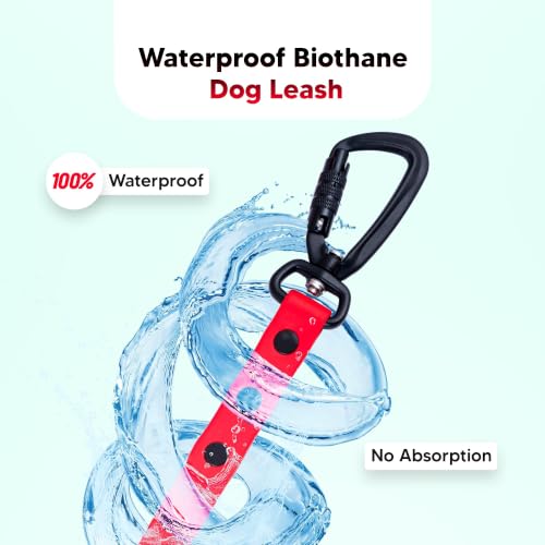 Image of Adil's Biothane Waterproof Dog Collar, Dog Leash & Collar Leash Combo | Heavy Duty TPU Coated Webbing | Adjustable Quick Release Buckle | Odour Resistant (Red, L-22, Leash Only)