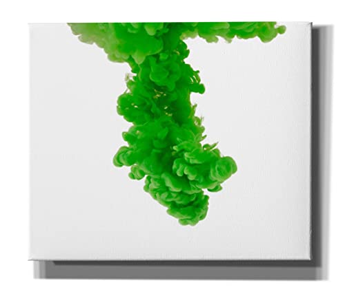 Epic Graffiti 'Absinthe' by Epic Portfolio, Canvas Wall Art, 24