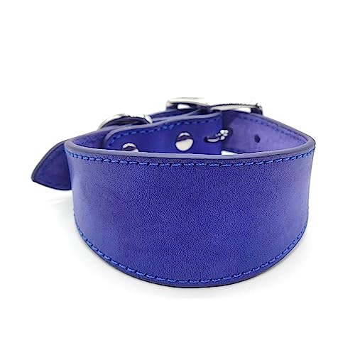 ohodhmnu Leathers - Collar acolchado suave para perros Whippets Salukis Sighthounds, collar ajustable para perros de razas grandes