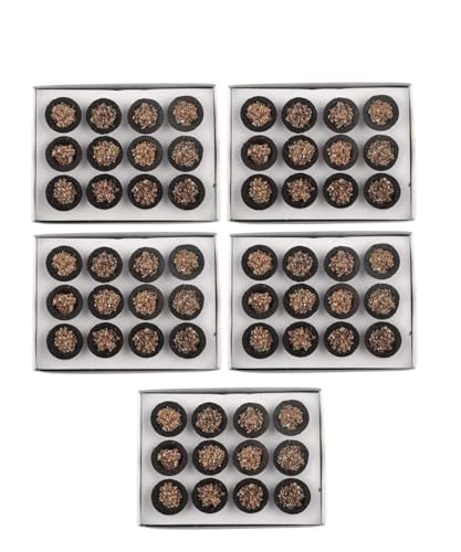Image of Sambrani Guggul Dhoop Cups (Pack Of 5, 60 Cups) for Pooja & Havan at Home, Office, Temple & Festivals | Natural Original Guggal Dhoop Cones, Loban Fragrance, Dhuni Cup (Includes 1 Burner Plate)