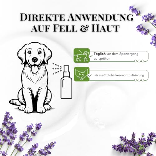 Dalias Dogs EM-Aktivator Spray - Reaktiviert EM-Keramik Halsbänder – Booster für Resonanzwirkung – Unterstützt natürliches Haut- & Fellmilieu – 100 ml