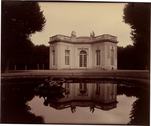 Tableau Branche d'arbre fruitier Atget 60x90cm pour une décoration murale de chambre élégante
