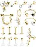 ❤ [AFFORDABLE CARTILAGE ERHÖRT SET] ❤: Kommen Sie mit 17Pcs Knorpel Ohrringe ein Set, einschließlich: Knorpel Ohrringe, Tragus Ohrringe, Helix Ohrringe, Conch Ohrringe, Lippenringe, Rook Daith Ohrringe, Septum Ringe, Hufeisennase Septum Ringe etc.