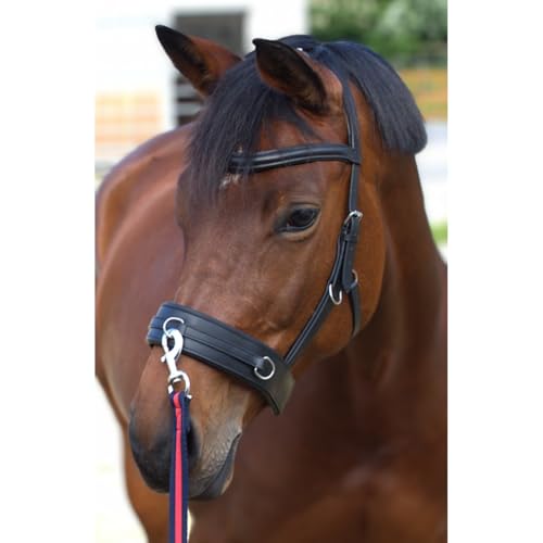 PFIFF 103115 Kappzaum Anatomic Soft-Shape, anatomisch, gepolstert, Schwarz, Full