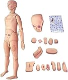 Medizinisches Trainingsmodell, Ganzkörper-Pflegesimulationspuppe, Realistisches Anatomisches PVC-Modell, Gesundheitsausbildung Laborequipment