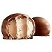 Bombom Sonho de Valsa - Lacta, Chocolate Candy Imported from Brazil (Pack of 1)