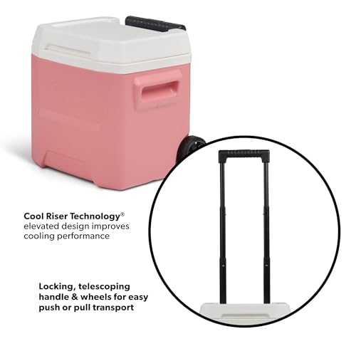 Image of Igloos Cooler Hard-Sided Ice Chest, Insulated Portable Cooler, Heavy-Duty, Leak-Resistant Lid, Lightweight Ergonomic Handle