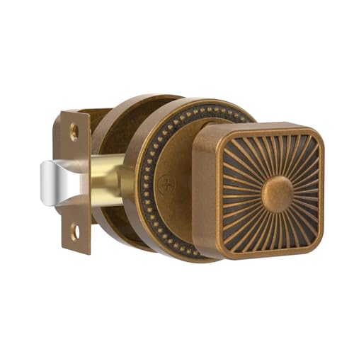 Amerdeco 1pbN AeB[N^JhAmu vCoV[ CeA hAmu bNtAhAmu Q oX[ AM0024