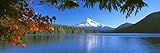 Posterazzi Reflection of mountain Lost Lake Mt Hood National Forest Oregon USA Poster Print, (36 x 12)