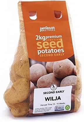 2kg Charlotte Seed Potatoes (Approx. 20-25 Tubers)  Second Early Grow Your Own  for Salads, Mashing & Boiling  Scottish-Grown & Ready to Plant at Home in Gardens & Allotments