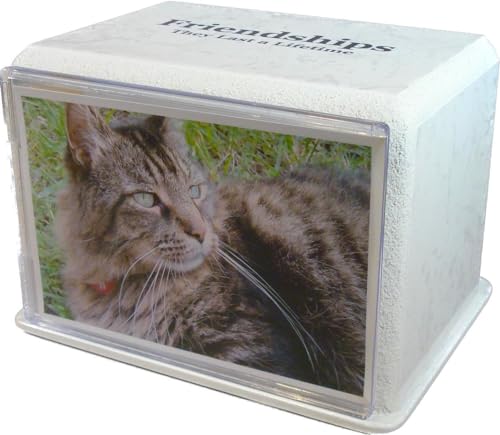 Classic White Handmade Pet Cremation Urn Keepsake (Medium, white)