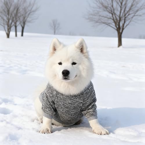 OYIWINMI Hundepullover 2 Stück, hundepullover kleine Hunde hundemantel für Fleece hundejacke Pullover Hund Chihuahua Kleidung hundekleidung klein hundepulli Katzen wintermantel hundebekleidung (S)