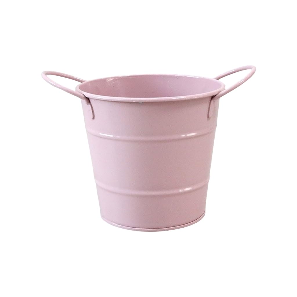 Tnbccxn Lotus Root P Pen Cup, Metal Pencil Holder Pencil Storage Bucket Pen Container Makeup Brush Storage Holder Office Desk Organizers Supplies(Lotus Root P)
